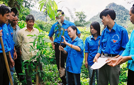 Cán bộ Đoàn hướng dẫn nhân dân kỹ thuật trồng trọt (ảnh: Internet)